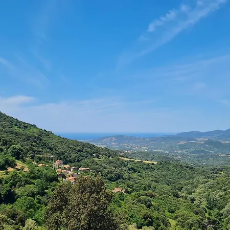 New Quiet Upscale Air-conditioned T2 With Heated Pool & Sea View וילה