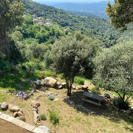 New Quiet Upscale Air-conditioned T2 With Heated Pool & Sea View Vila Sollacaro