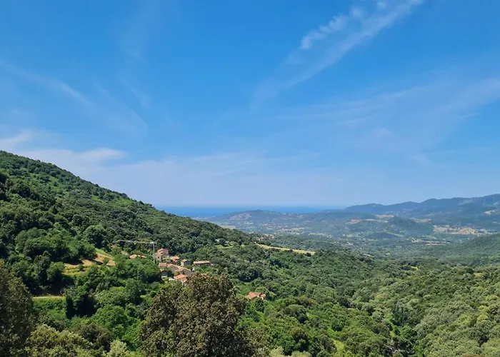 New Quiet Upscale Air-conditioned T2 With Heated Pool & Sea View Vila Sollacaro